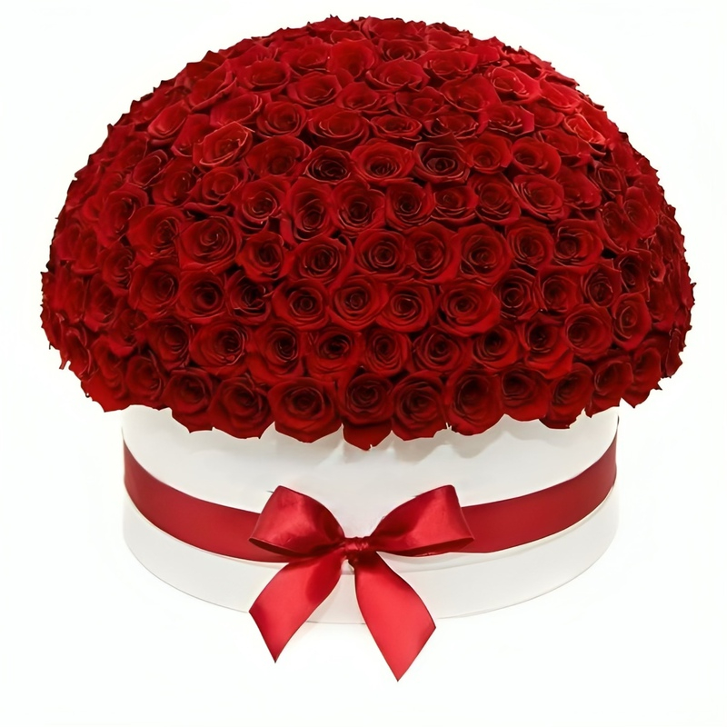 باکس گل رز هلندی کد 123