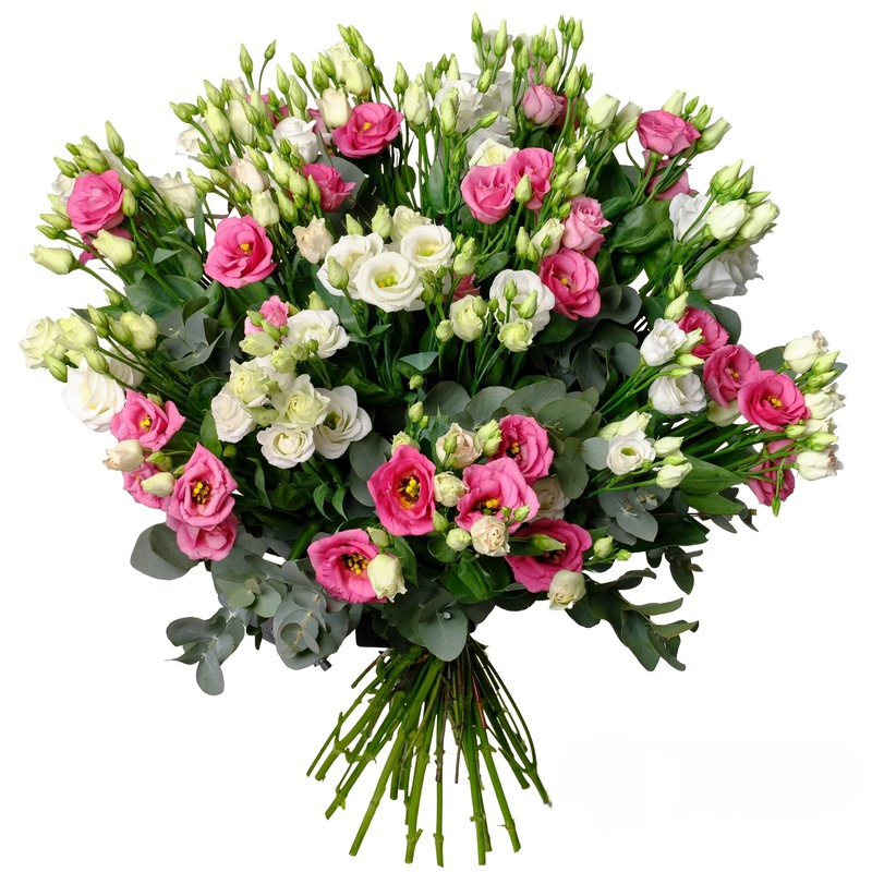 دسته گل لیسیانتوس کد 186